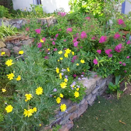Chez Catherine Roquebrune-sur-Argens