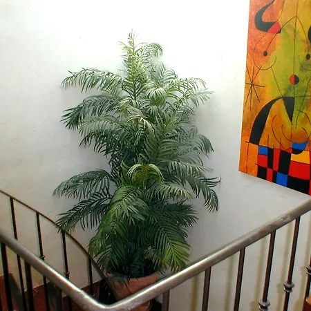 Panzió Chez Catherine Roquebrune-sur Argens